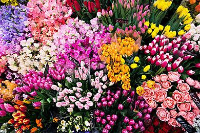 《华纳大乱斗》确认测试版多项移除功能将尽快回归