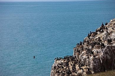 《Timelie》开发商新作《Project Steampunk》公布 发售日期待定